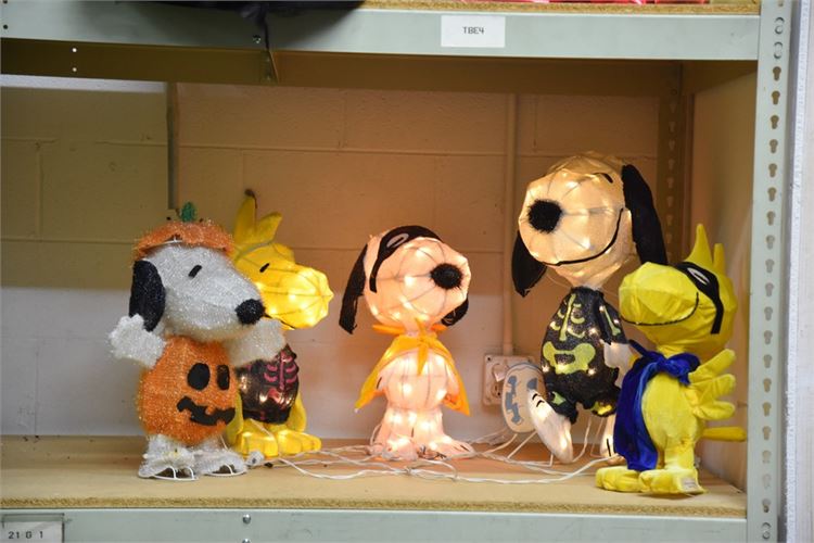 Group Decorative Snoopy Items