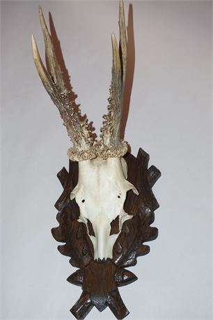 Lot 207. Pair of Small Deer Antlers