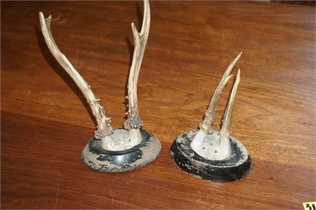 Lot 75. Two Set of Antler Pairs