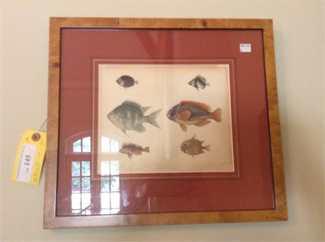 Lot 145. Scientific Illustration of Fish