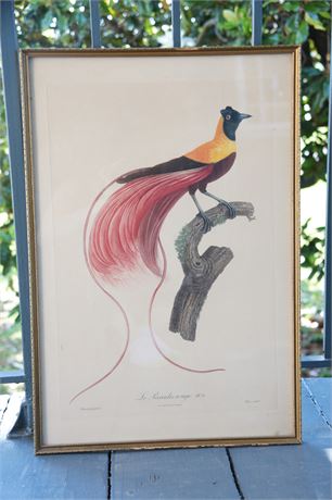 Lot 180.  French Print titled "Le Paradis Rouge No. 6"