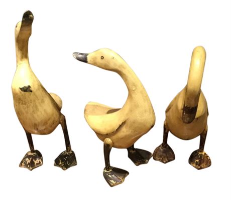 Set of Ducks