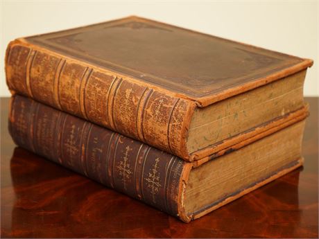 Vintage Leather Bound Two - Volume  Dictionary