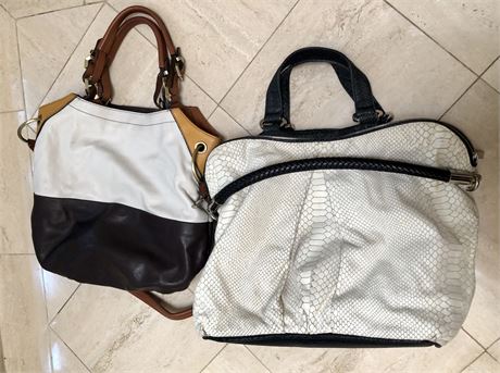 Lot of Two Women's Purses