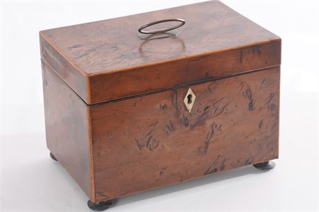 George III Yewood Tea Caddy