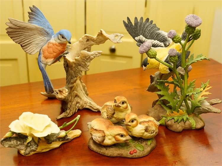 Collection Bohem Porcetlain Bird Figures