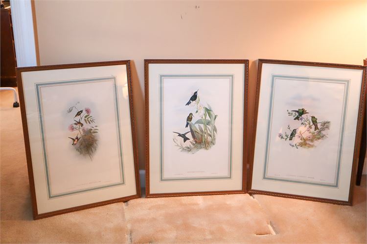 Set of Three (3) Vintage Bird Prints