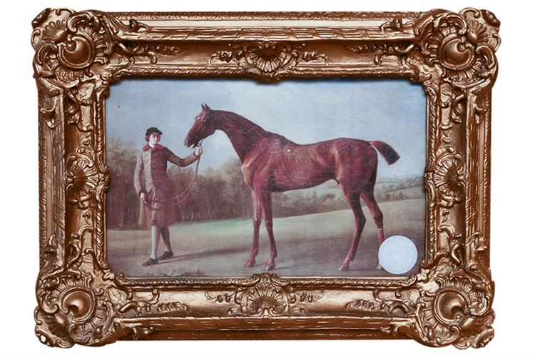 Vintage Horse Print on Board