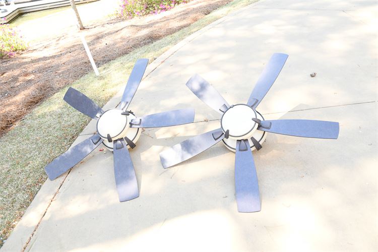 Pair of Ceiling Fans with Lights