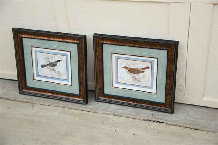 Pair of Decorative Bird Prints