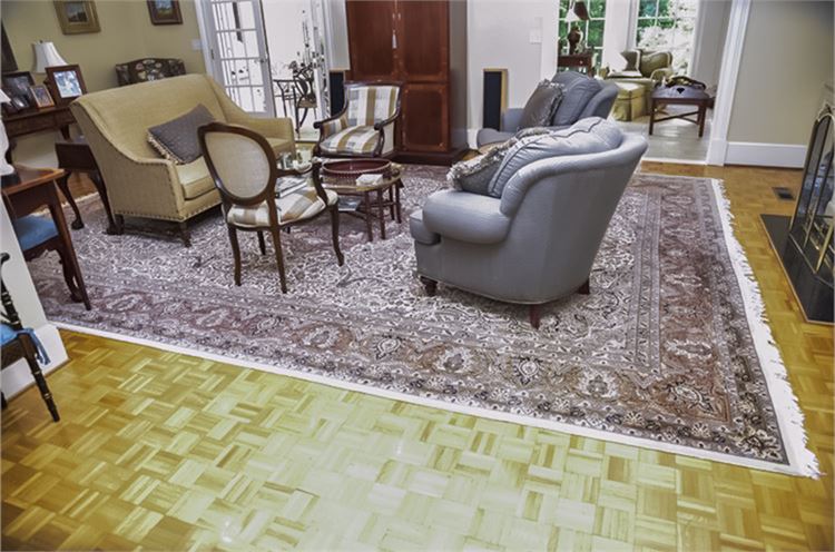 Handwoven PERSIAN Room Size Carpet