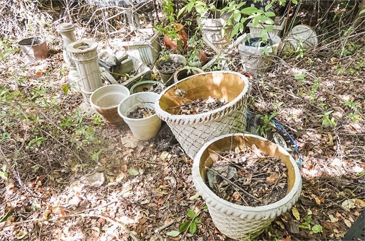 Miscellaneous Lot of Planters & Pedestals