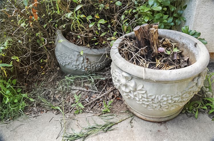 Two (2) Cast Stone or Compo Planters