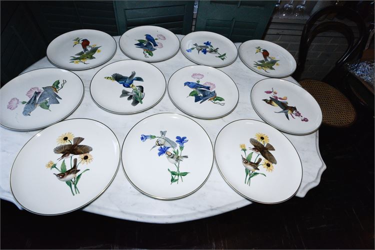 Twelve (12) Syracuse American Song Birds Plates