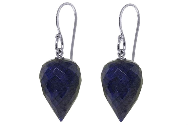 25.8 ctw Sapphire 14KT White Gold Earrings