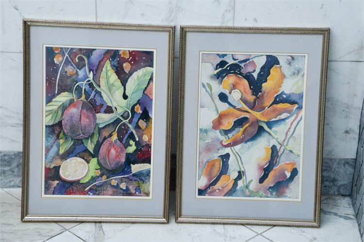 Pair of Framed Botanical Watercolors