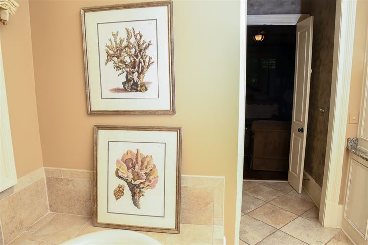 Two Framed Coral Prints