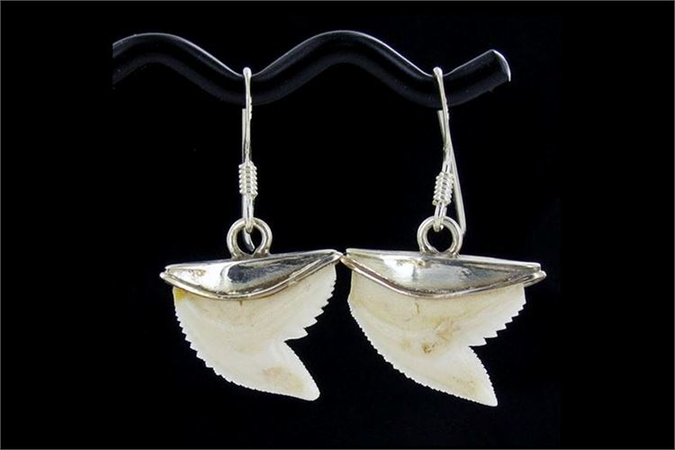 Sterling Shark Ivory Earrings