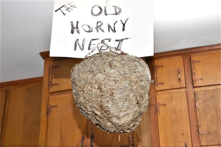 Hornets Nest