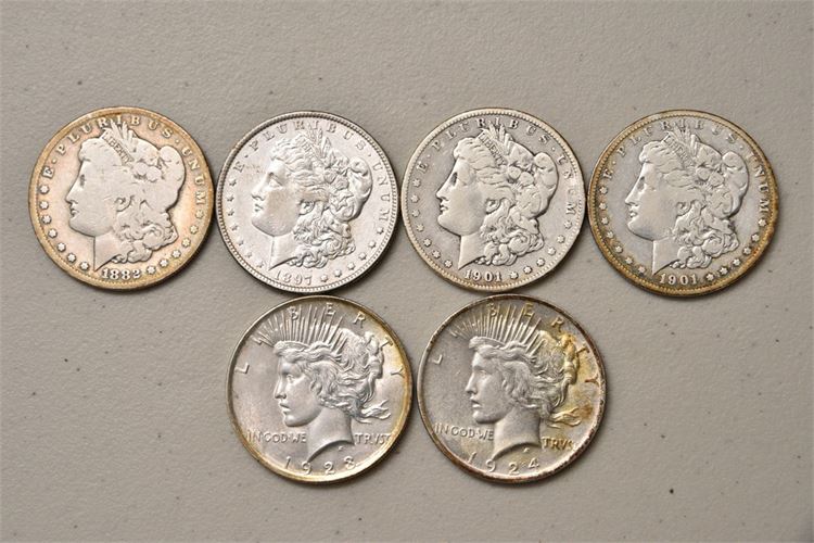 Six (6) Silver Dollars