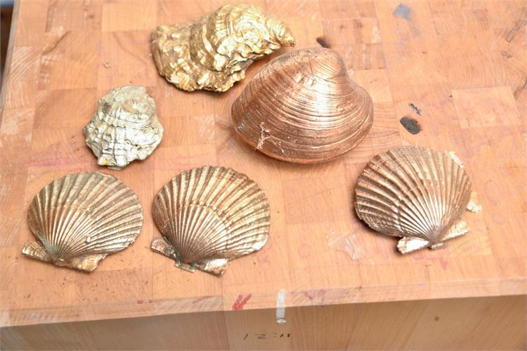 Group Lot Of Shells