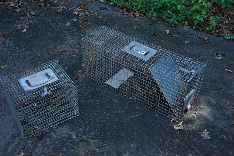 Two (2) Metal Animal Traps