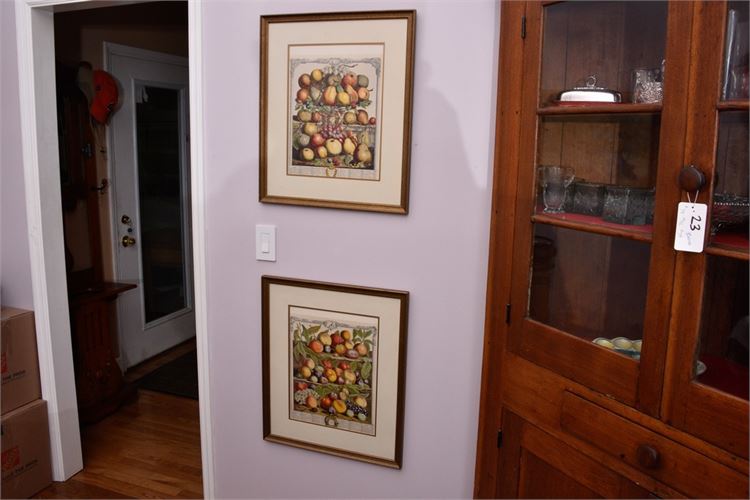 Pair Of Framed Fruit Prints