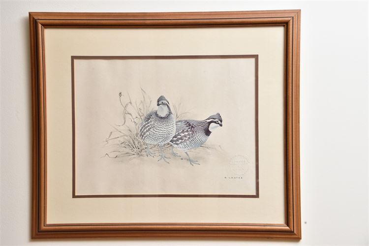 Glen Loates, "Bird Print"