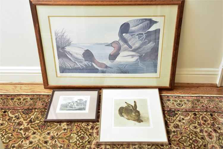 Three (3) Framed Animal Prints