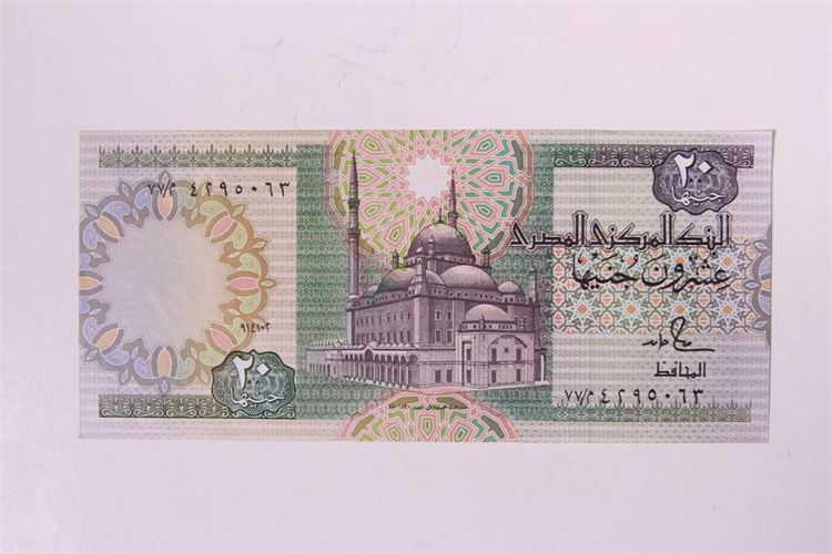 Group Egyptian Paper Currency & 1 Ecudorian 10,000 sucre note