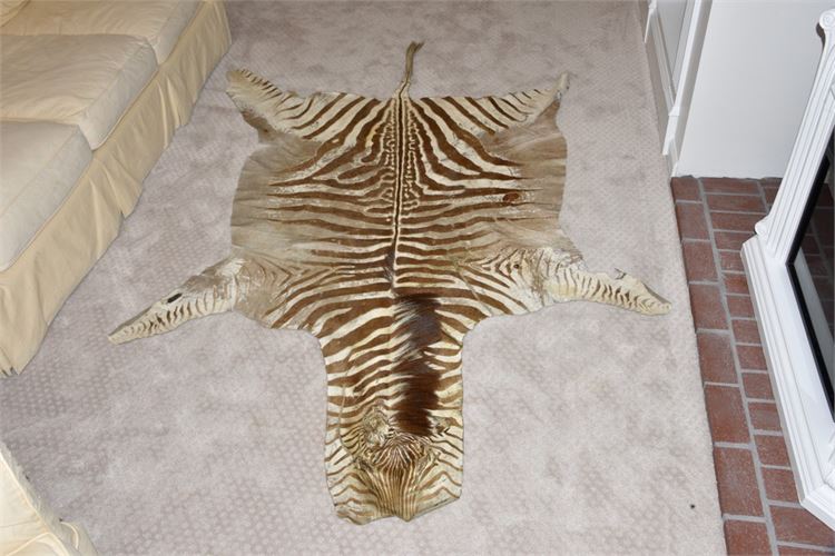 Authentic Zebra skin rug  R