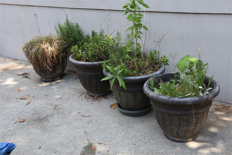 Set Four (4) Large Neoclassical Style Planters