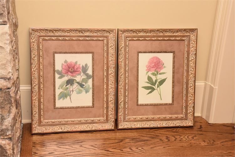 Pair Of Botanical Prints