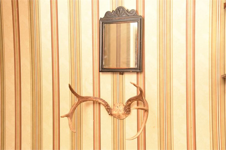 Mirror and Horn Mount