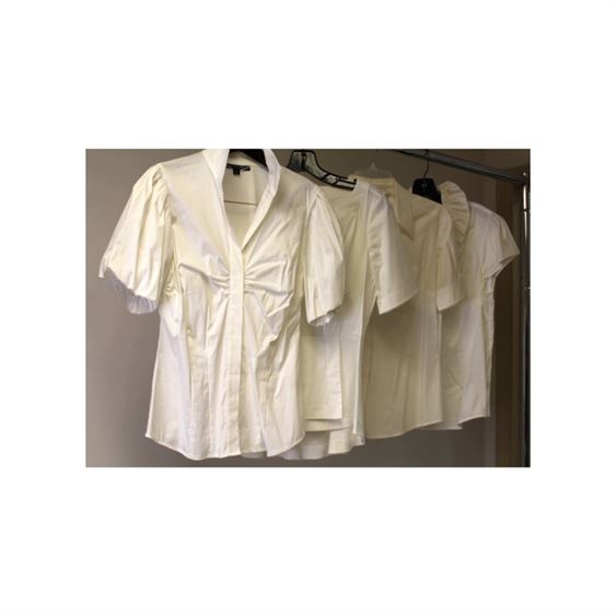 Four (4) Ladies Designer Blouses (Sz 8-10) - Lafayette 148, Trina Turk...