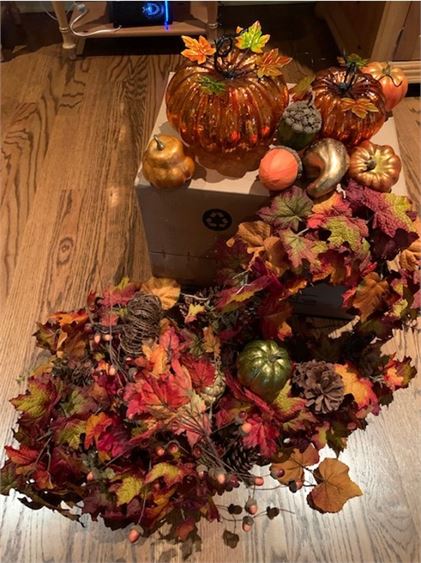 Group Lot Of Autumn Decorations