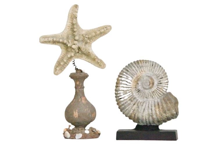 Iron Shell Doorstop and Decorative Starfish Figure