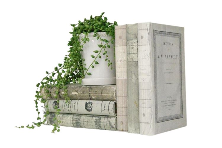 Faux Books and Small Planter