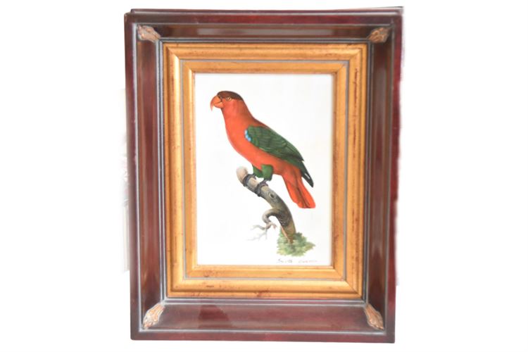 Scott Gleason Parrot Painting Signed