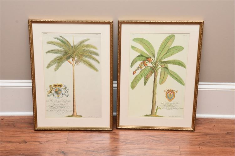 Pair Framed Prints
