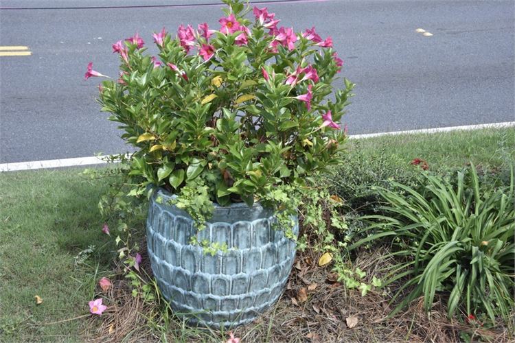 Large Textured Teal Planter