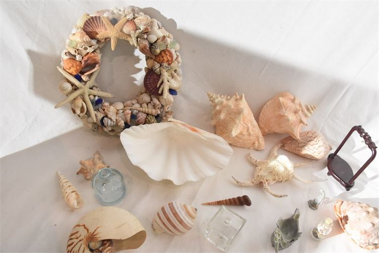 Group Seashells & Decorative Items