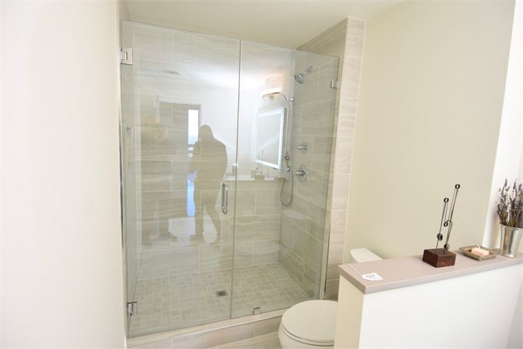 Glass Shower Door