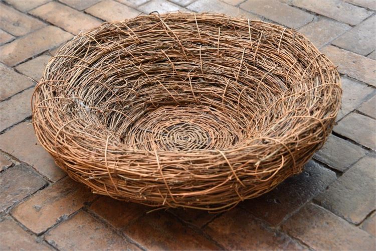 Decorative Nest