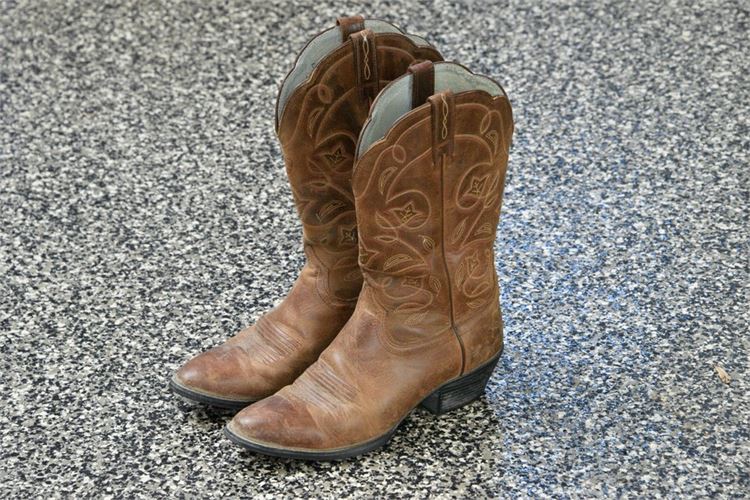 ARIAT Cowboy Boots (Size 8B)