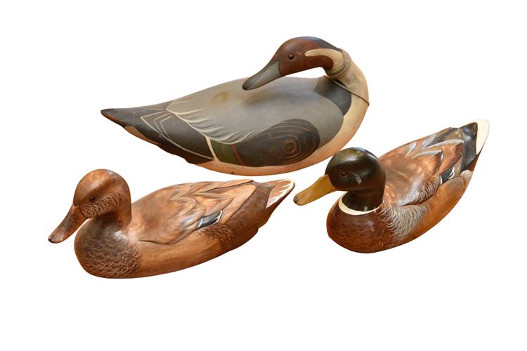 Three (3) Duck Decoys