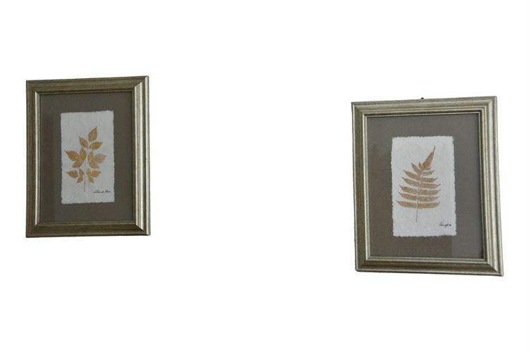 Pair, Framed Leaf Prints
