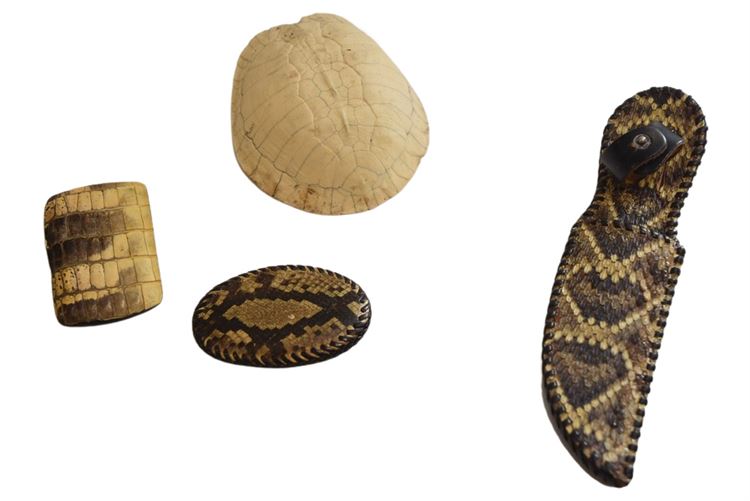 Group, Reptile Skin Items