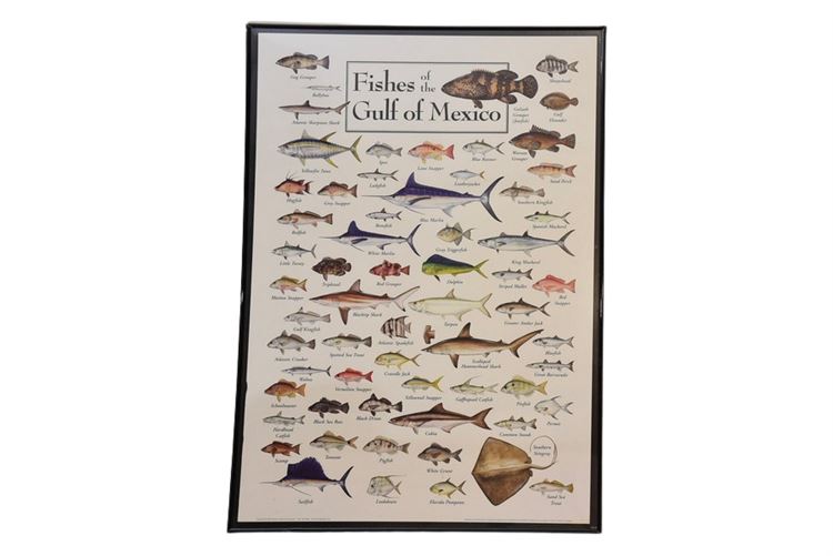 Framed Fish Poster