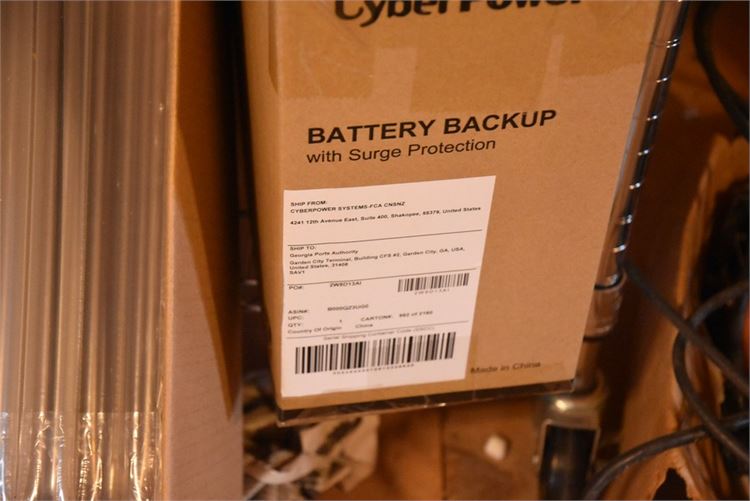 Battery Backup With Surge Protection